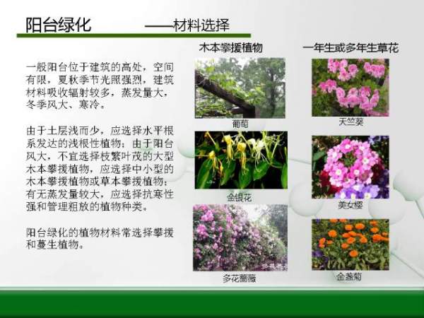 陽(yáng)臺(tái)綠化--材料選擇 陽(yáng)臺(tái)綠化--材料選擇